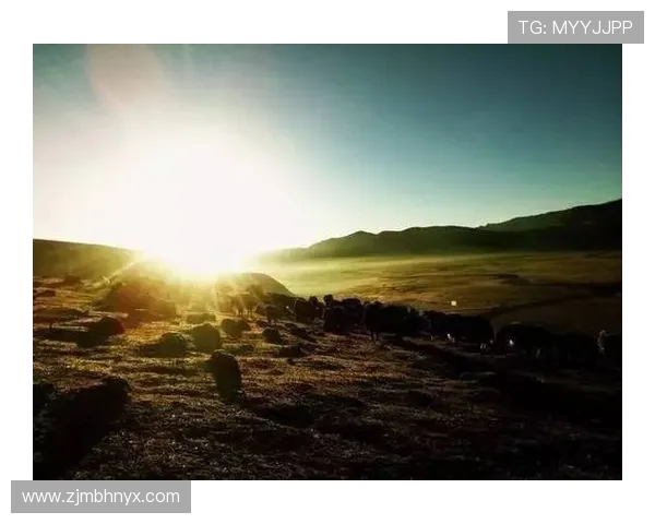 杨晨以奋斗精神谱写新时代青年成长与梦想追求的励志篇章