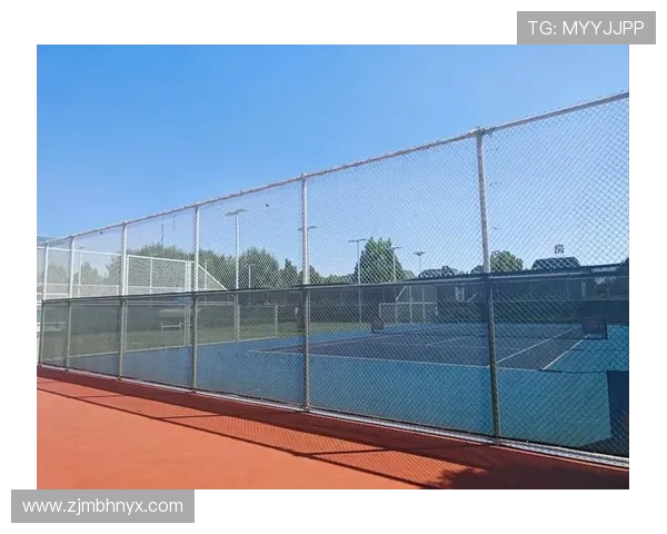 网球运动的历史发展与现代竞技水平的提升探析