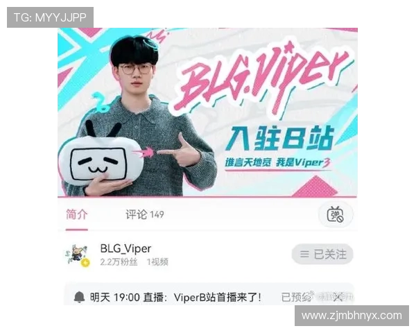 ViperADC在英雄联盟职业赛场的崛起与成功经验分享